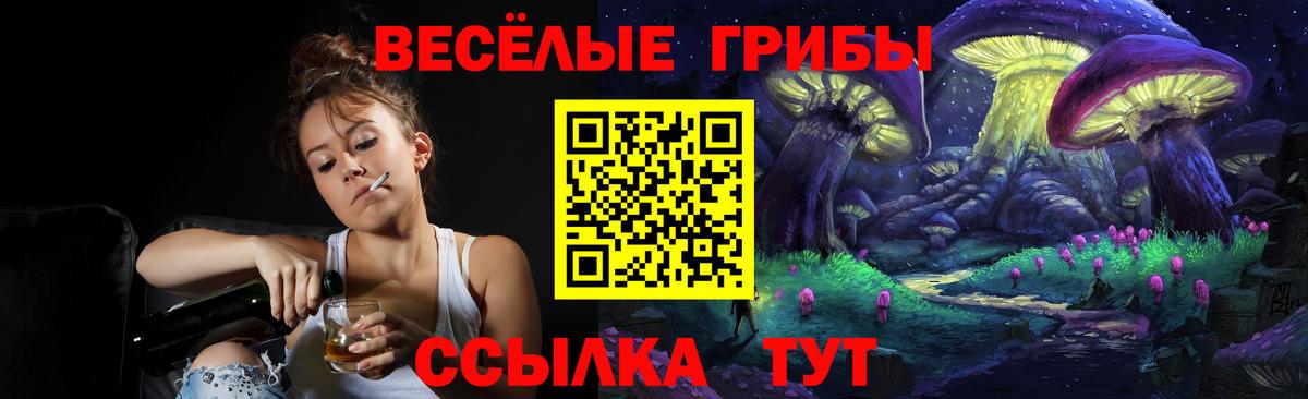 дарнет шоп  Вход с VPN  Избербаш  Галлюциногенные грибы ЛСД  Псилоцибиновые грибы мицелий 